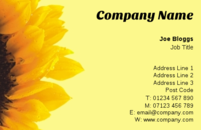This sunflower based business card template is popular with garden centres and gardeners alike.